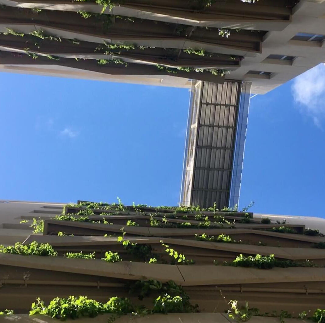 Detalle de balcones y puente que une a los edificios (Aires Verdes, Salta 2019)