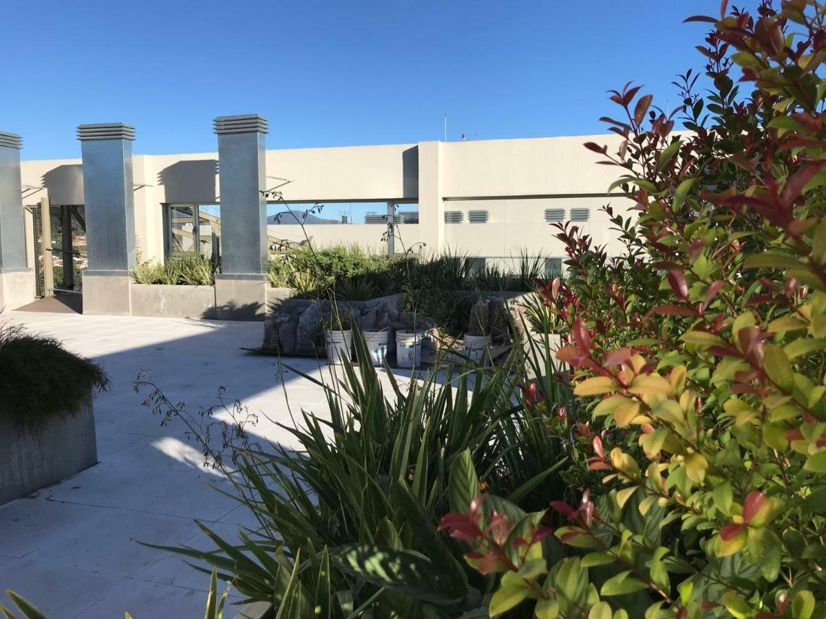 Terraza verde. Muretes esconden macetones livianos con diferentes especies. (Aires Verdes, Salta 2019)