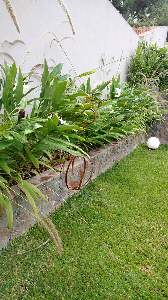 Jardin El Naranjero. Cantero de cañas de ambar. (Los Perales, 2019)