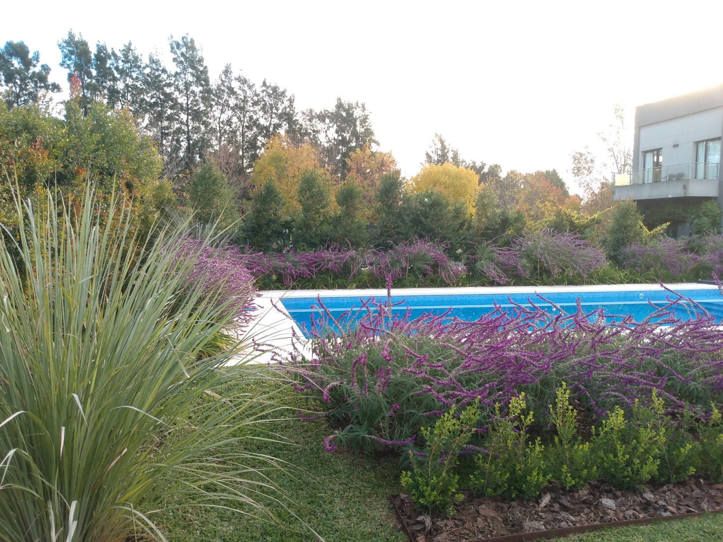 Jardín particular. Canteros de pileta (Escobar, 2022).